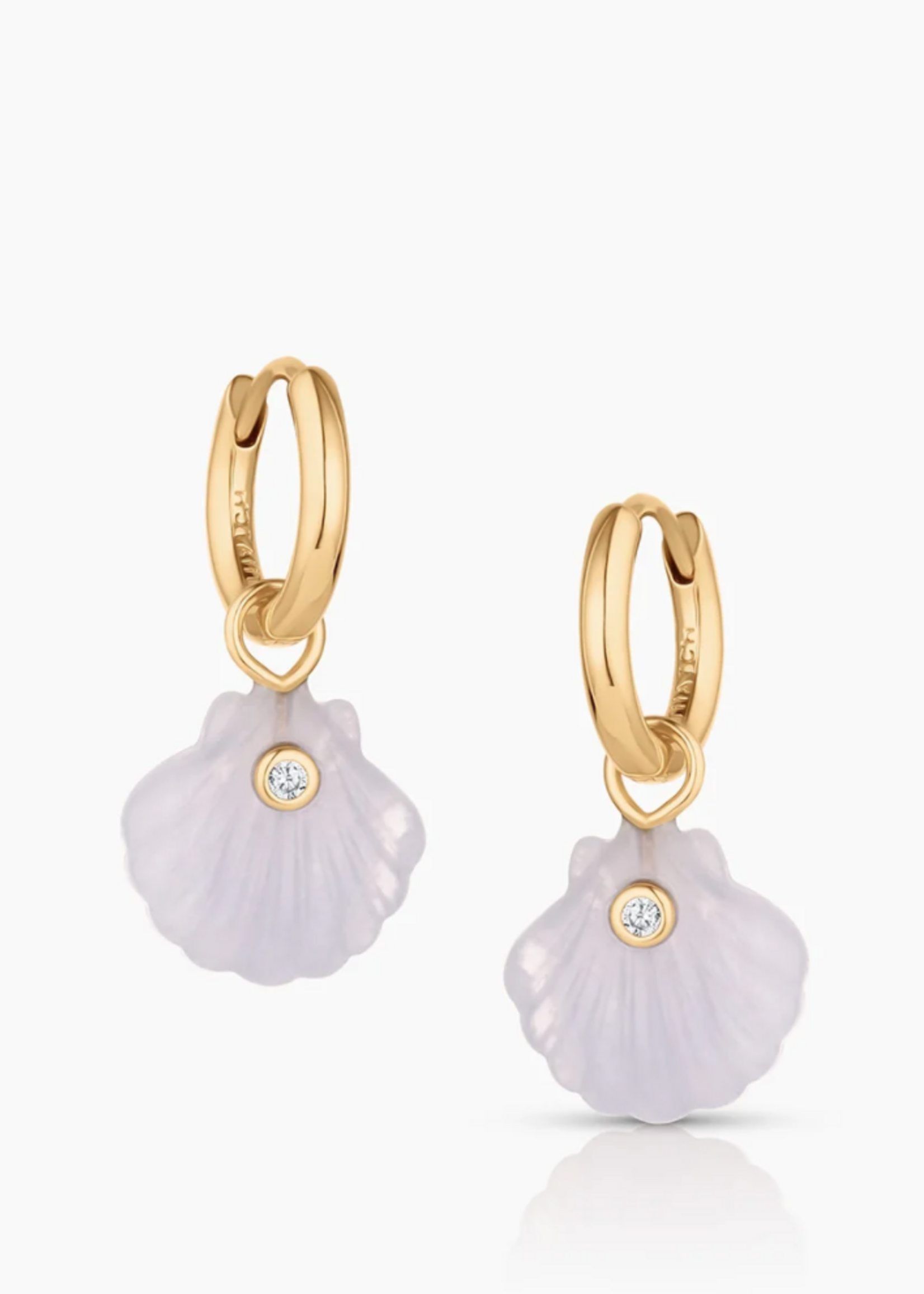 Coquille Shell Hoop Earrings