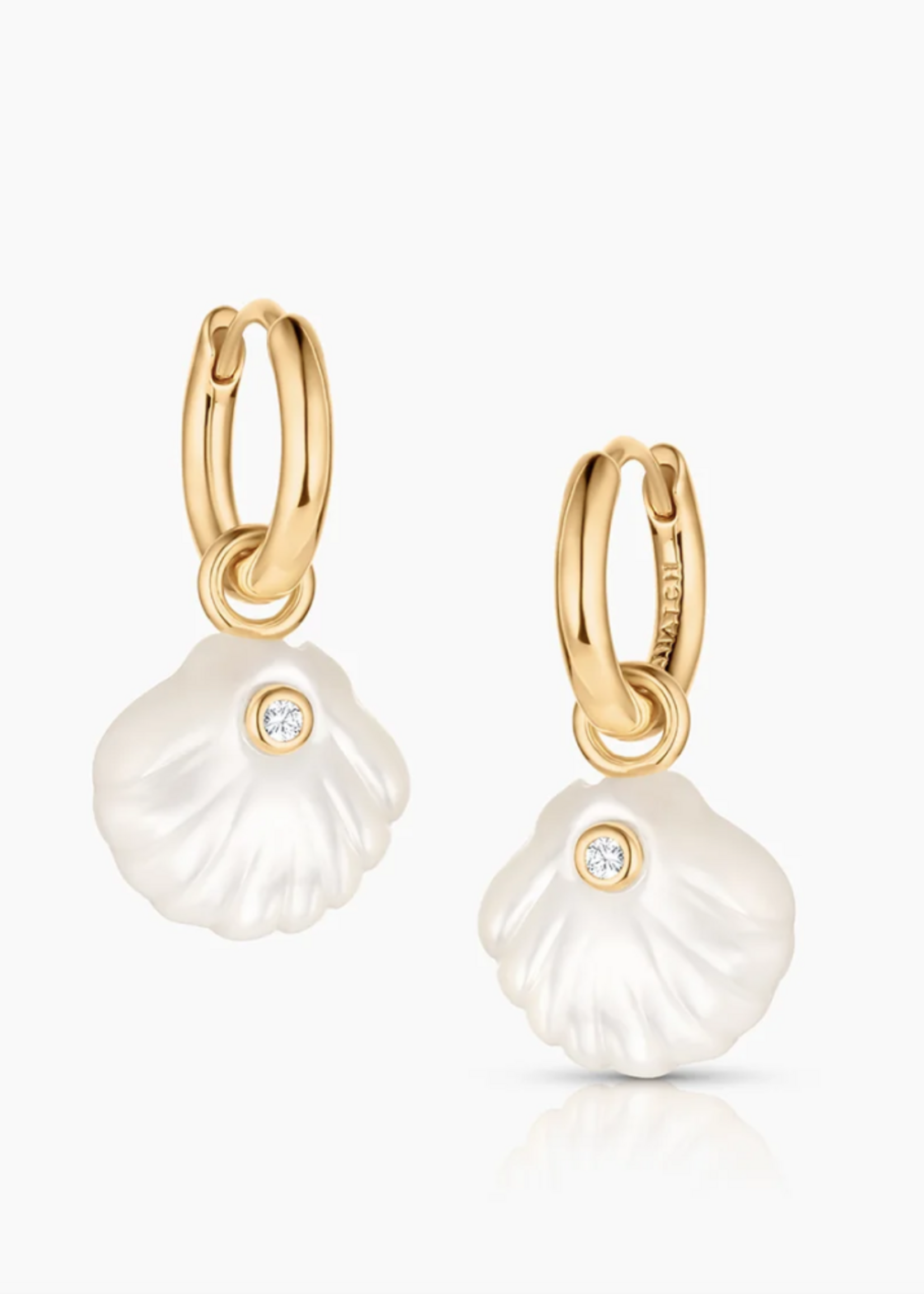 Coquille Shell Hoop Earrings