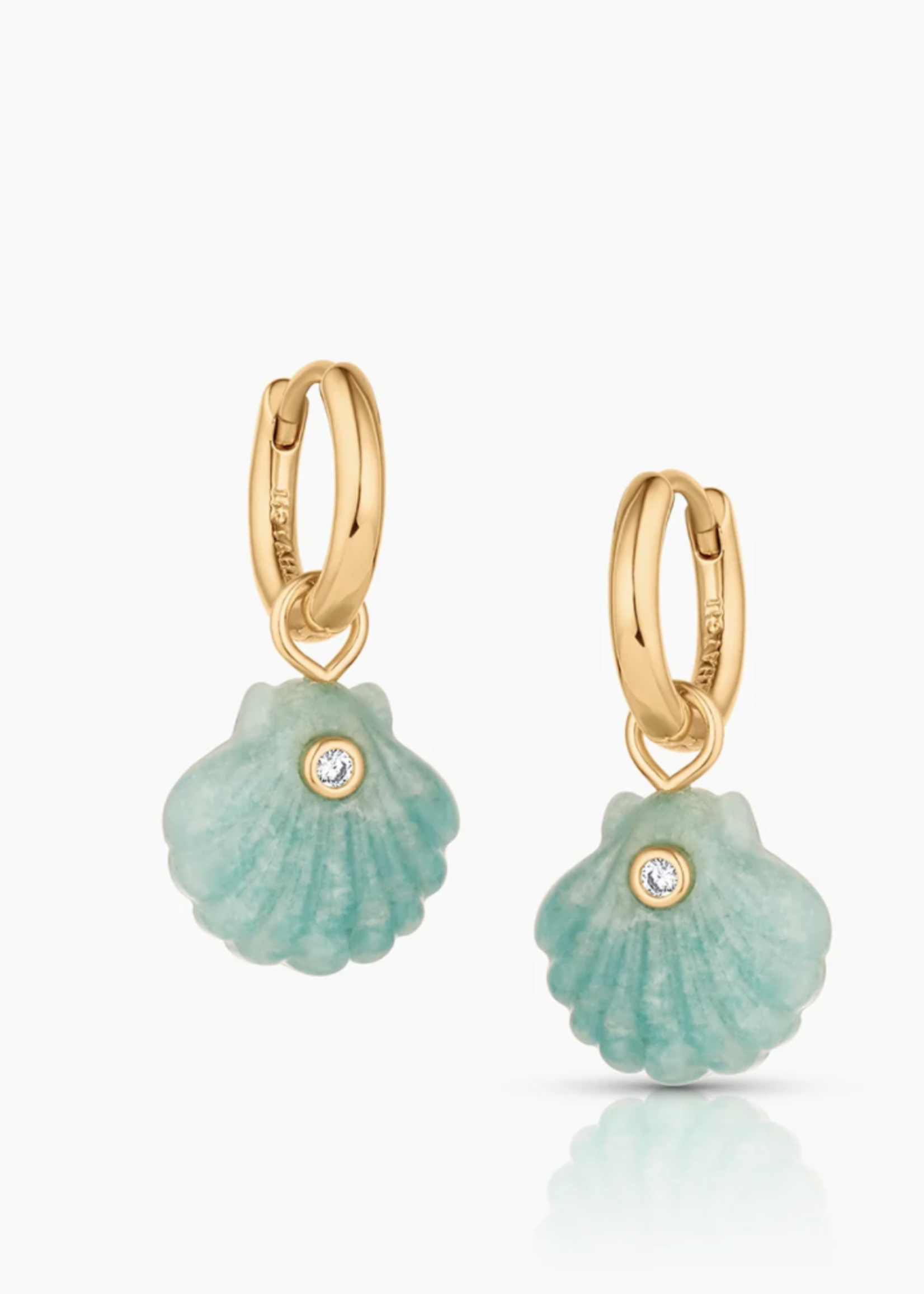 Coquille Shell Hoop Earrings
