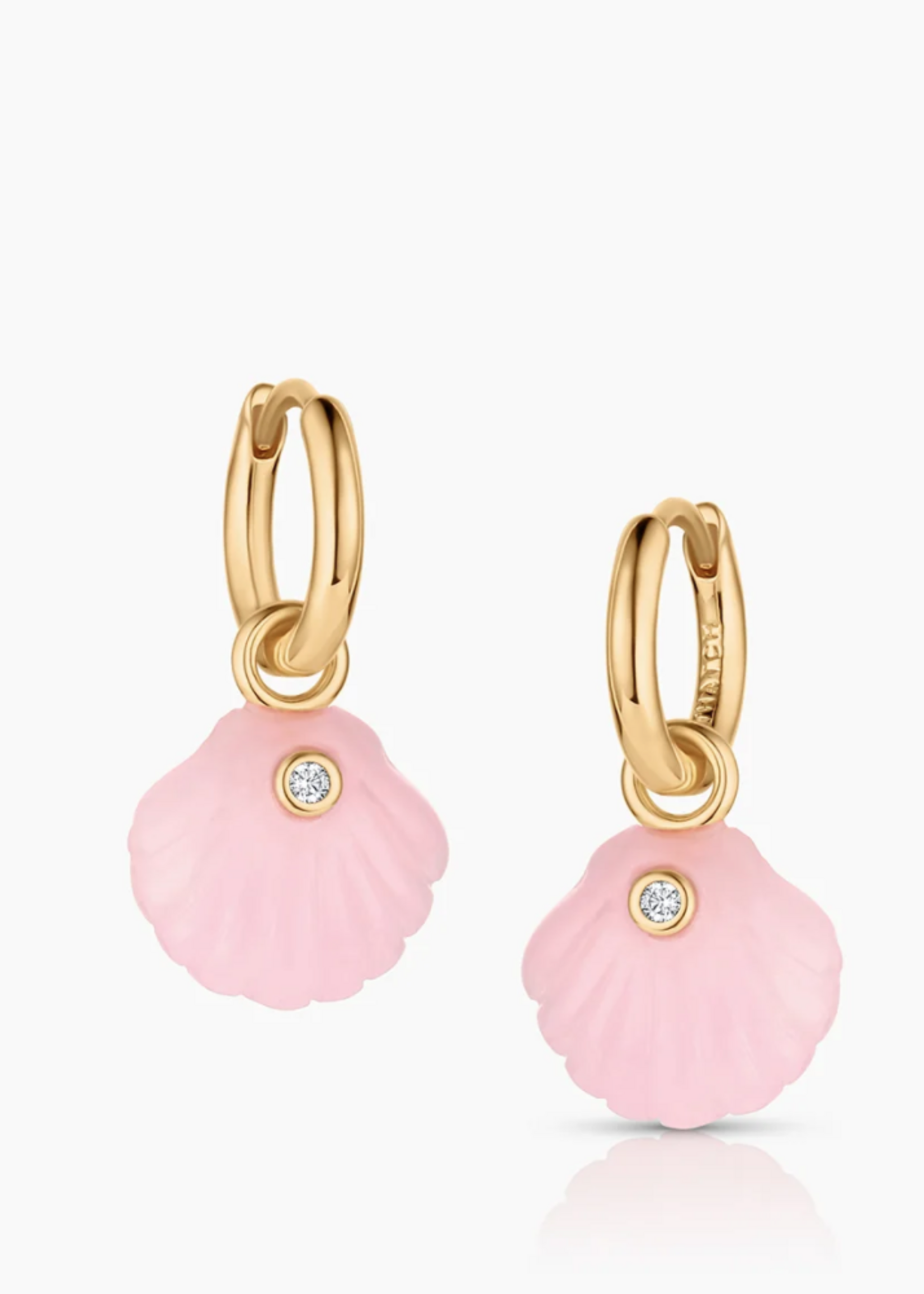 Coquille Shell Hoop Earrings