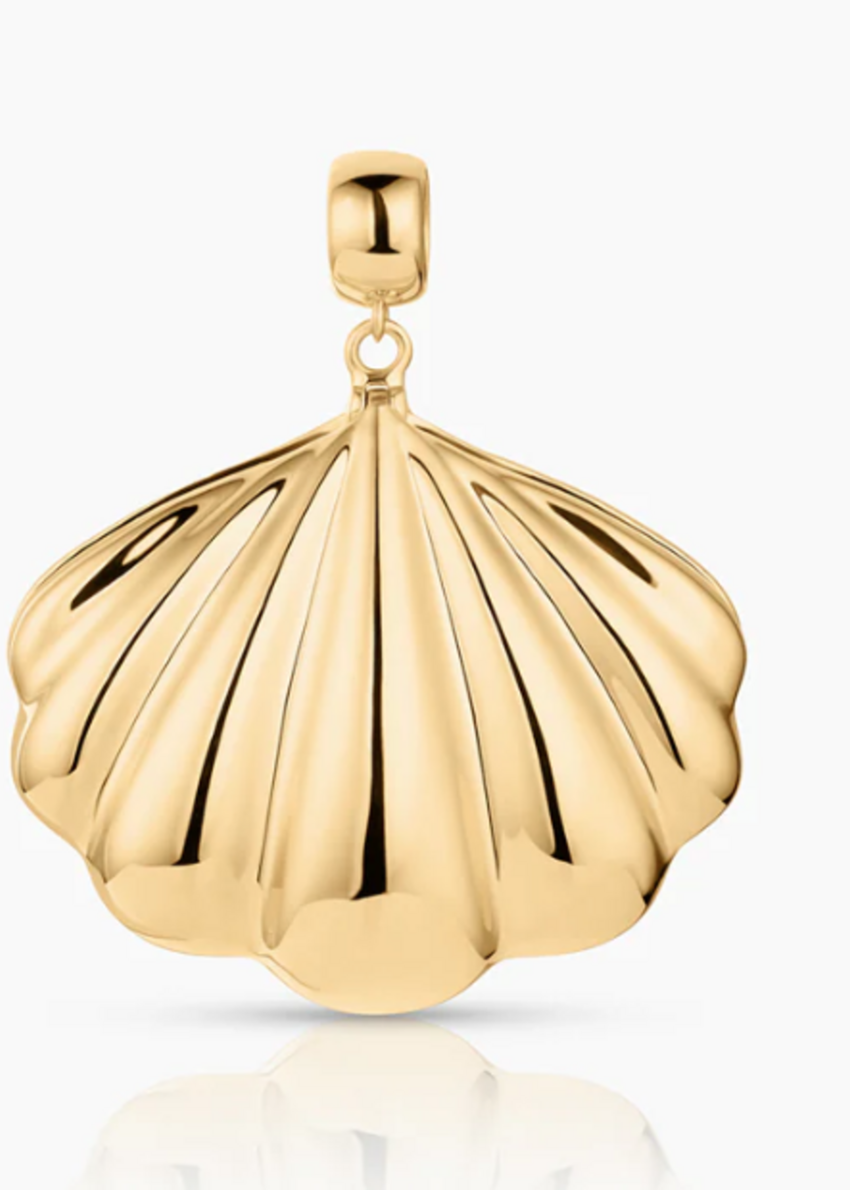 Tesoro Shell Locket Bail Charm