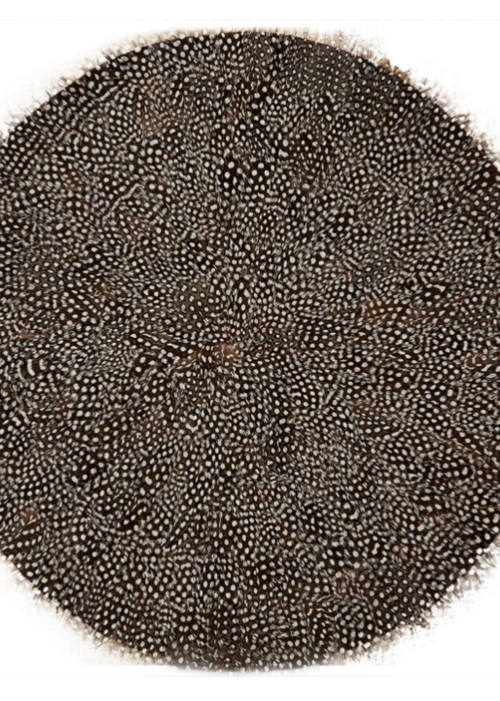 Guinea Fowl Feather Placemat