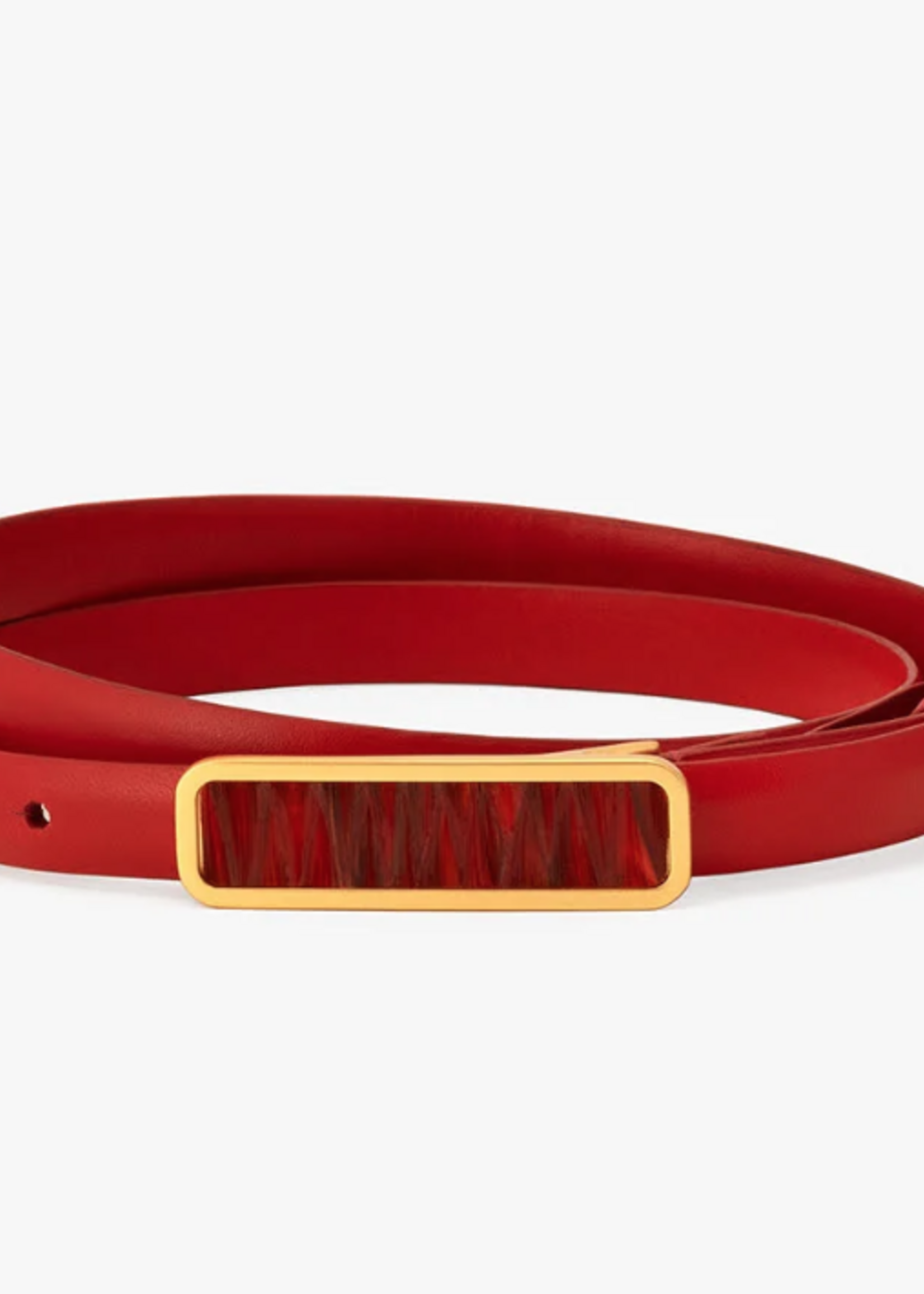 ACE Basin Abby Belt