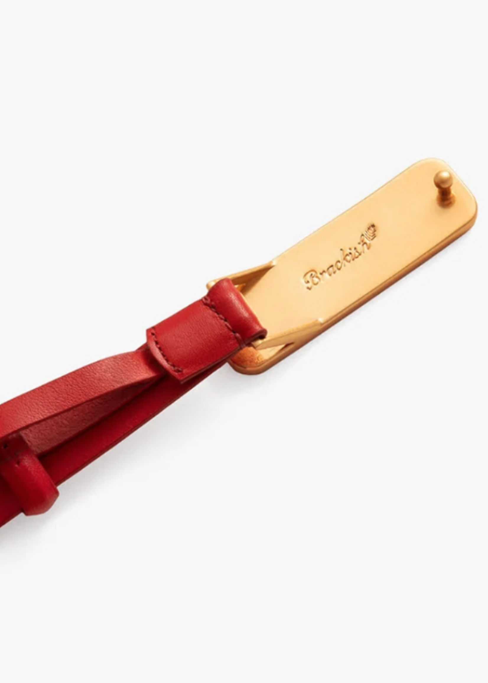 ACE Basin Abby Belt