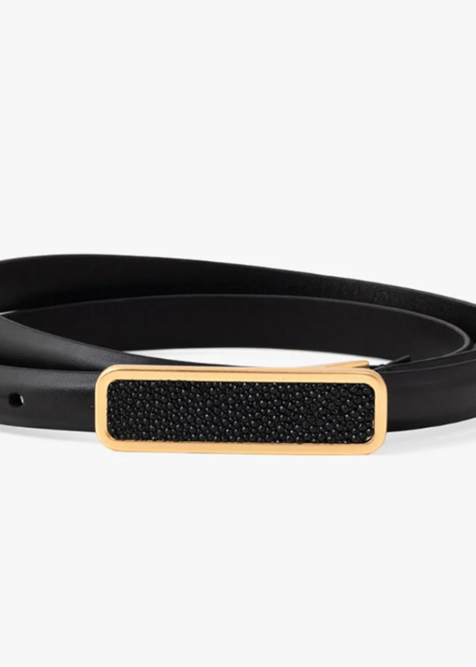 ACE Basin Abby Belt