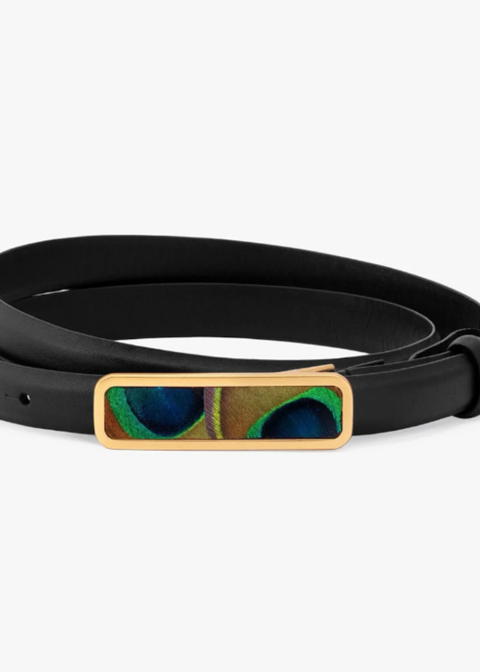 ACE Basin Abby Belt