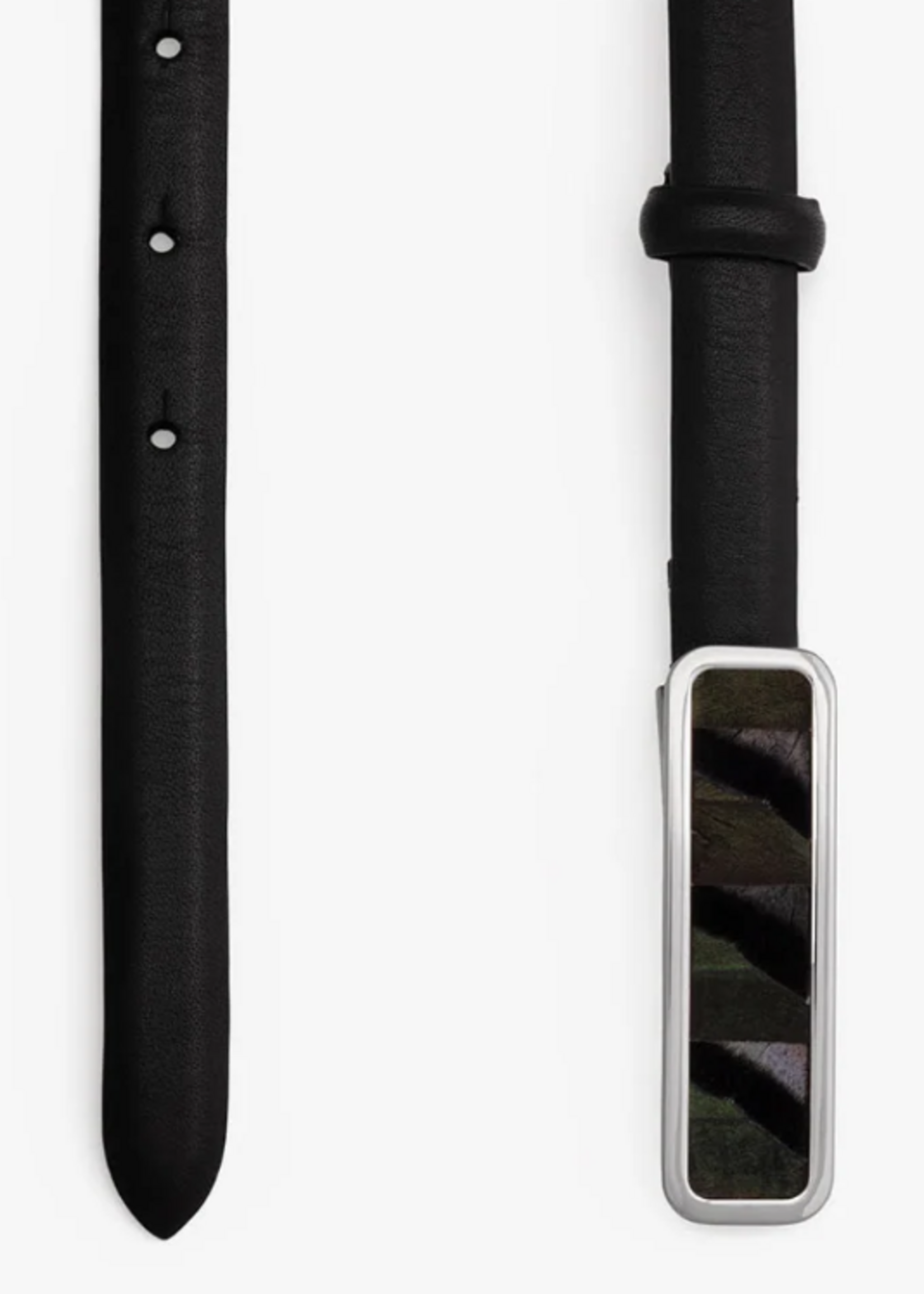 ACE Basin Abby Belt