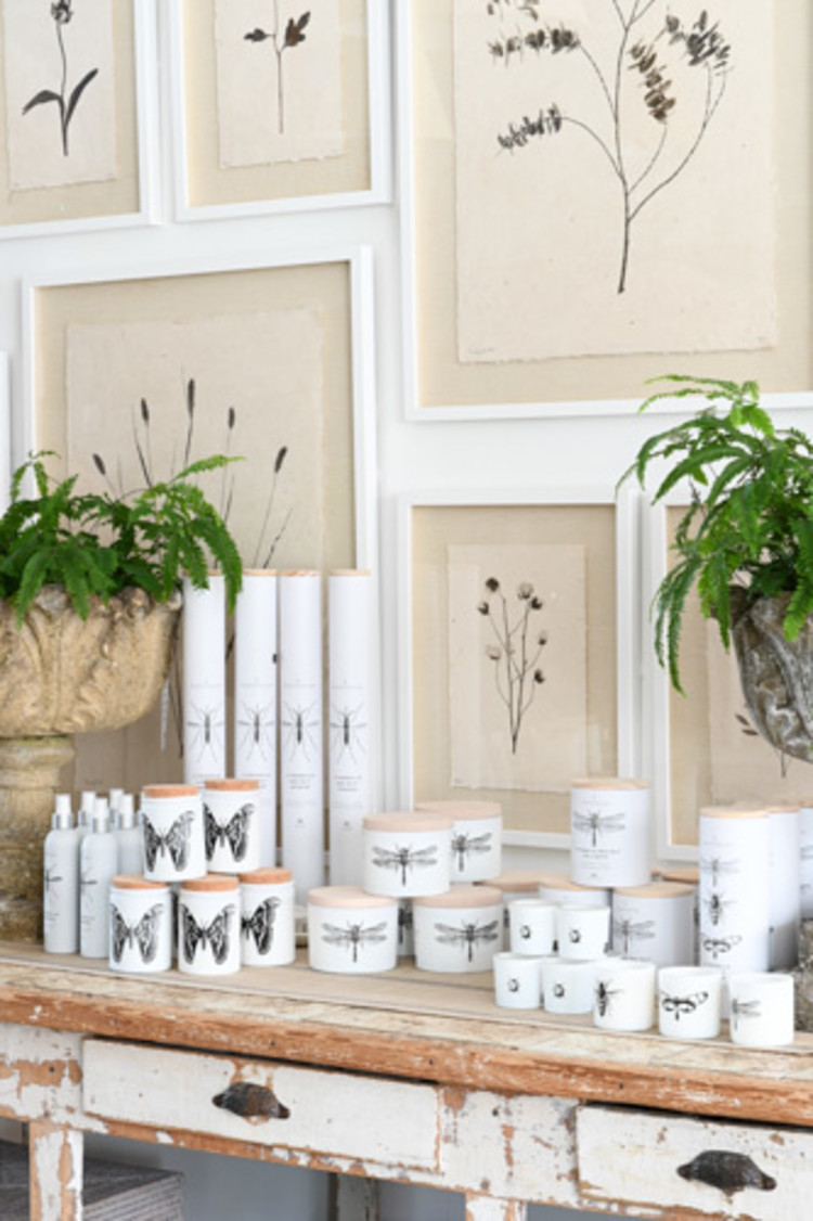 Antique Acanthus Leaf Planter (PAIR) SOLD