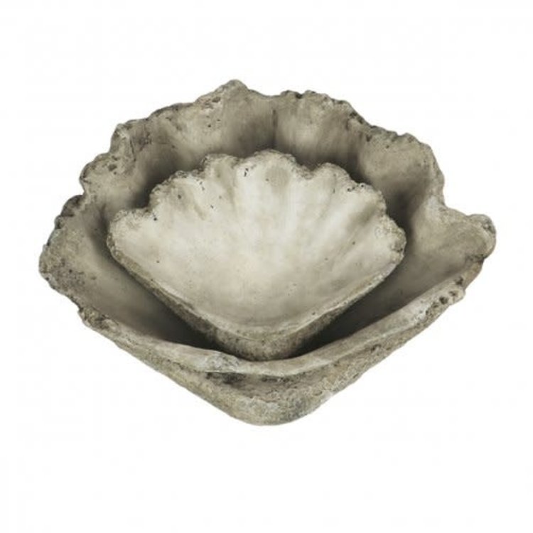 Clam Shell in Cast Concrete, 9"