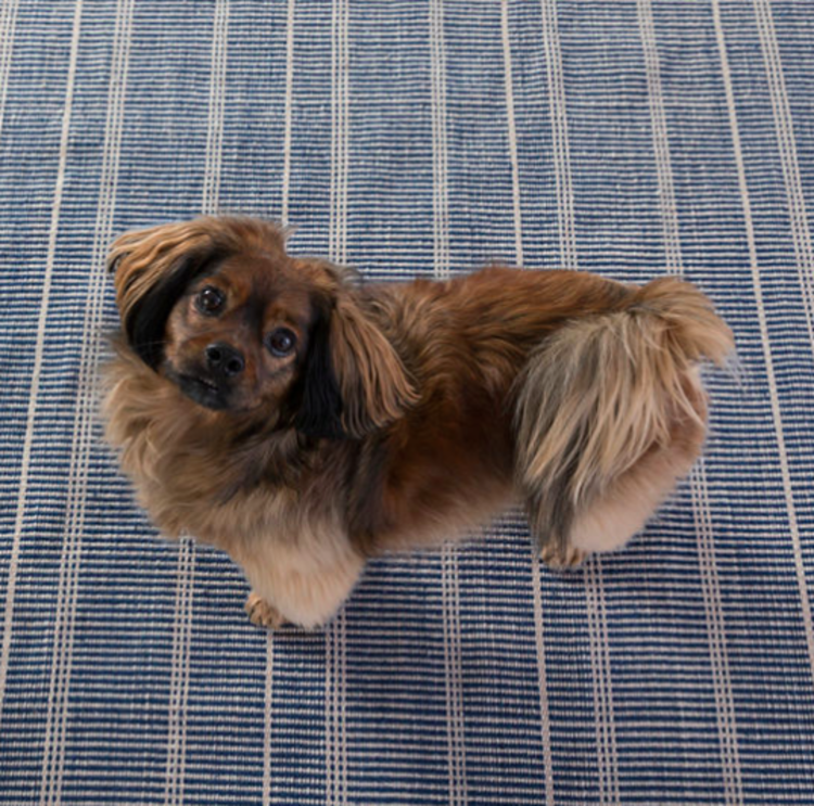 Dash&Albert Samson Navy Indoor/Outdoor Rug