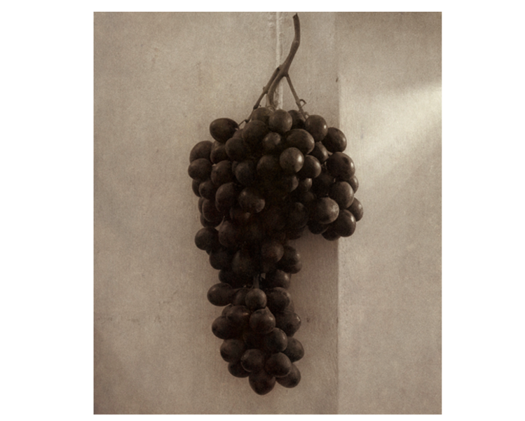 Gild & Co. Florence Still Life, by Jefferson  Hayman - framed