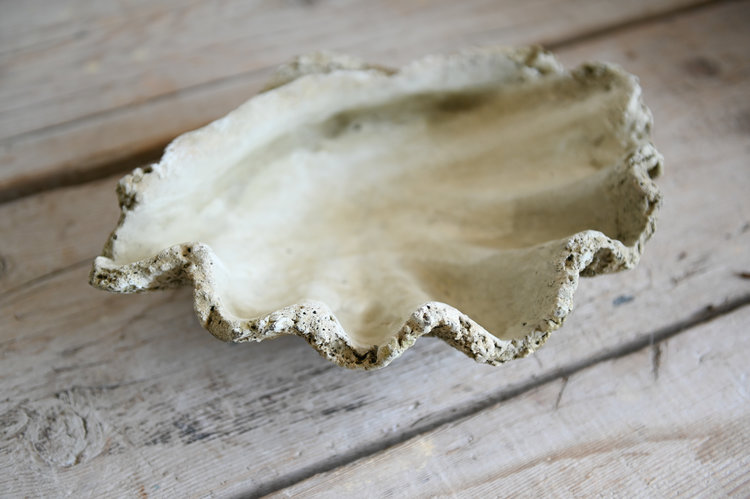 Clam Shell in Cast Concrete, 9"