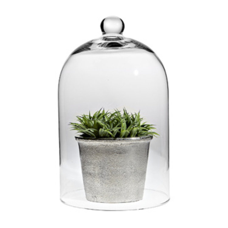 Classic Shaped Cloche 10"