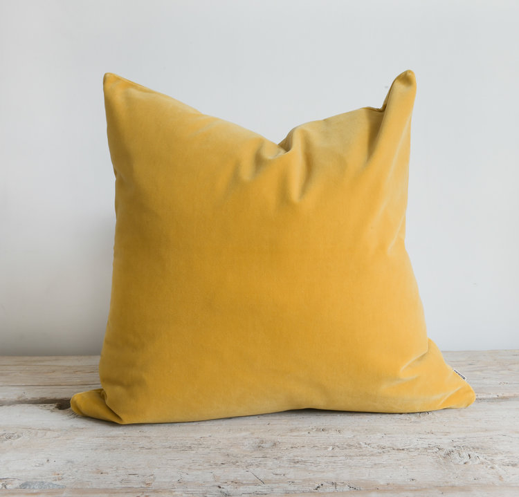 Emile Velvet Pillow  in Illuminate 16x24" lumbar
