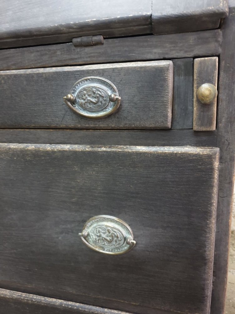 Antique Gustavian Secretary Desk, 19th Century