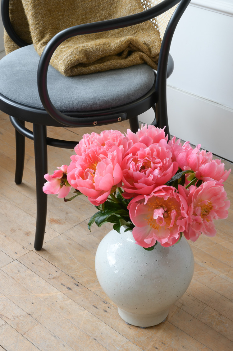 Bentwood Round Arm Chair