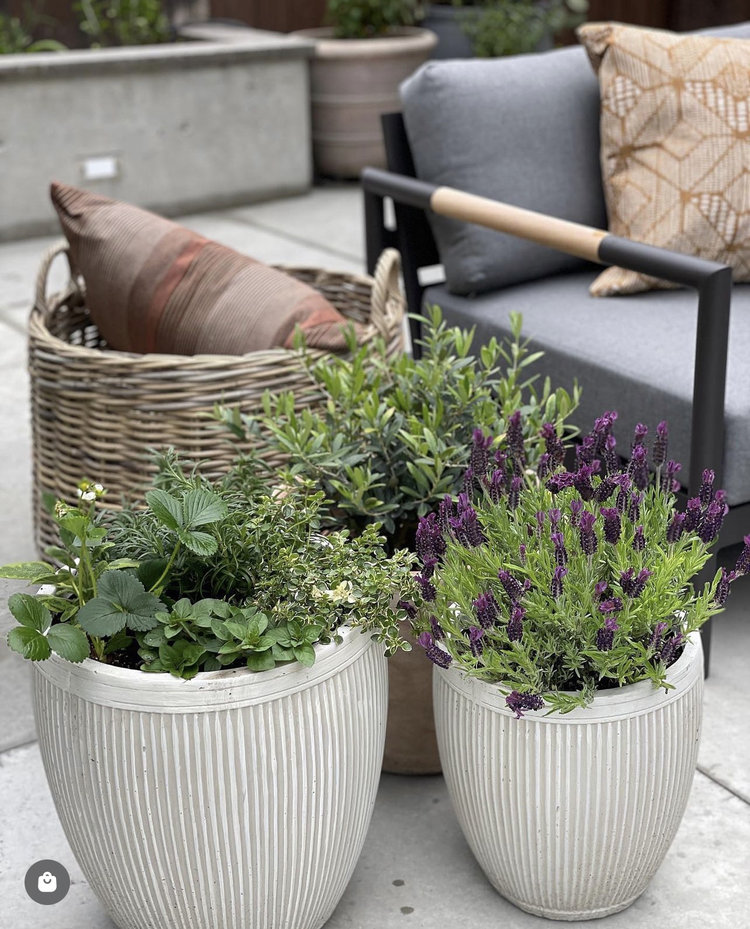 Round Rattan Decor Basket