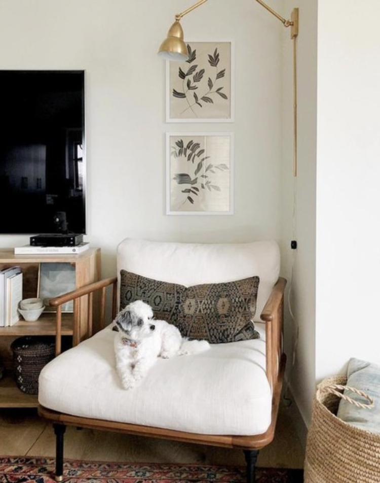 French Library Double Arm Wall Lamp