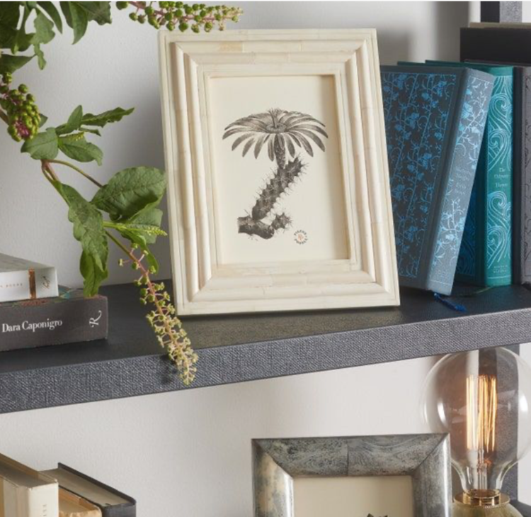 Novara Natural Bone Frame