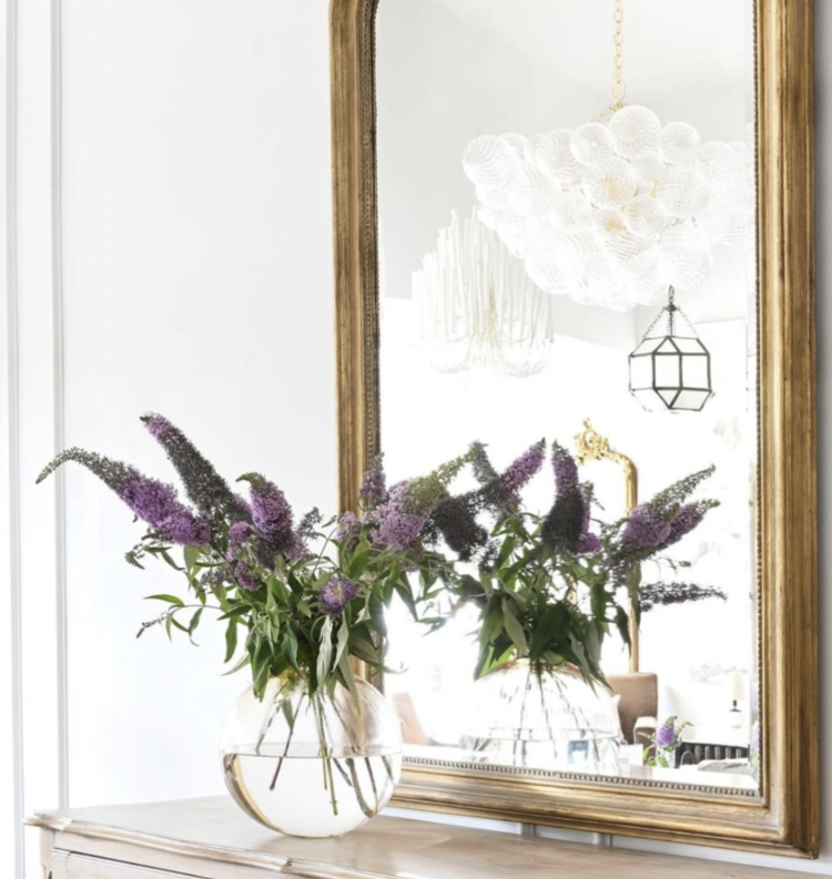 Napoleon III Mirror Medium