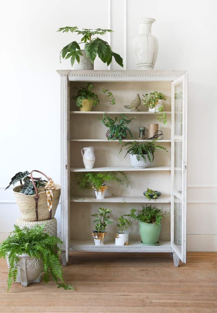 Vintage Vintage Concrete Vine Planters