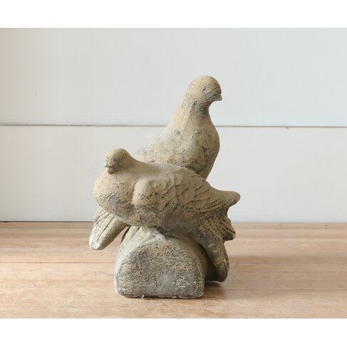 Concrete Rock Pigeons