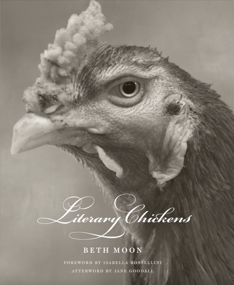 'Literary Chickens' coffee table book