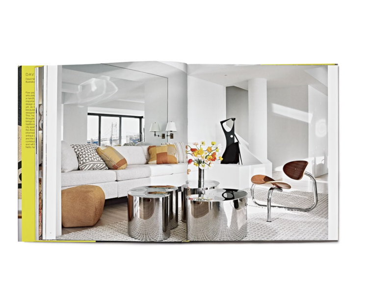 David Netto coffee table book