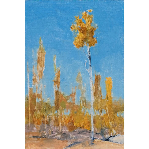 Blue Sky, Flying U Ranch (SOLD)