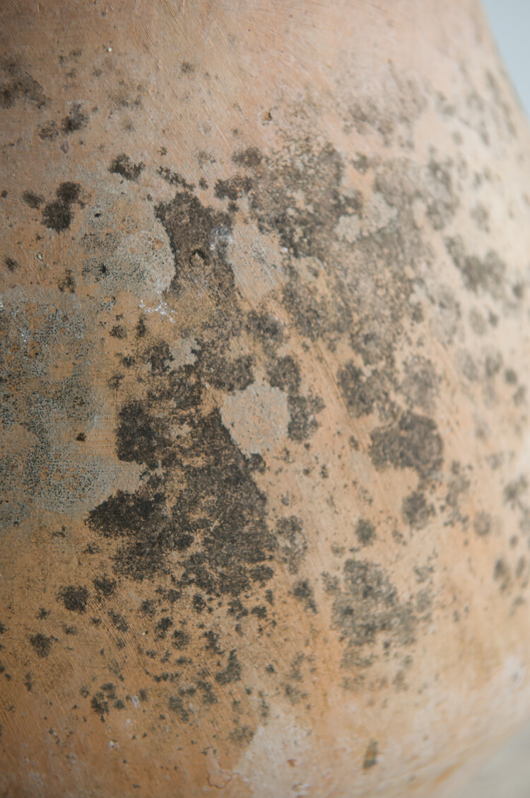 Large Vintage Terra Cotta Garden Pot