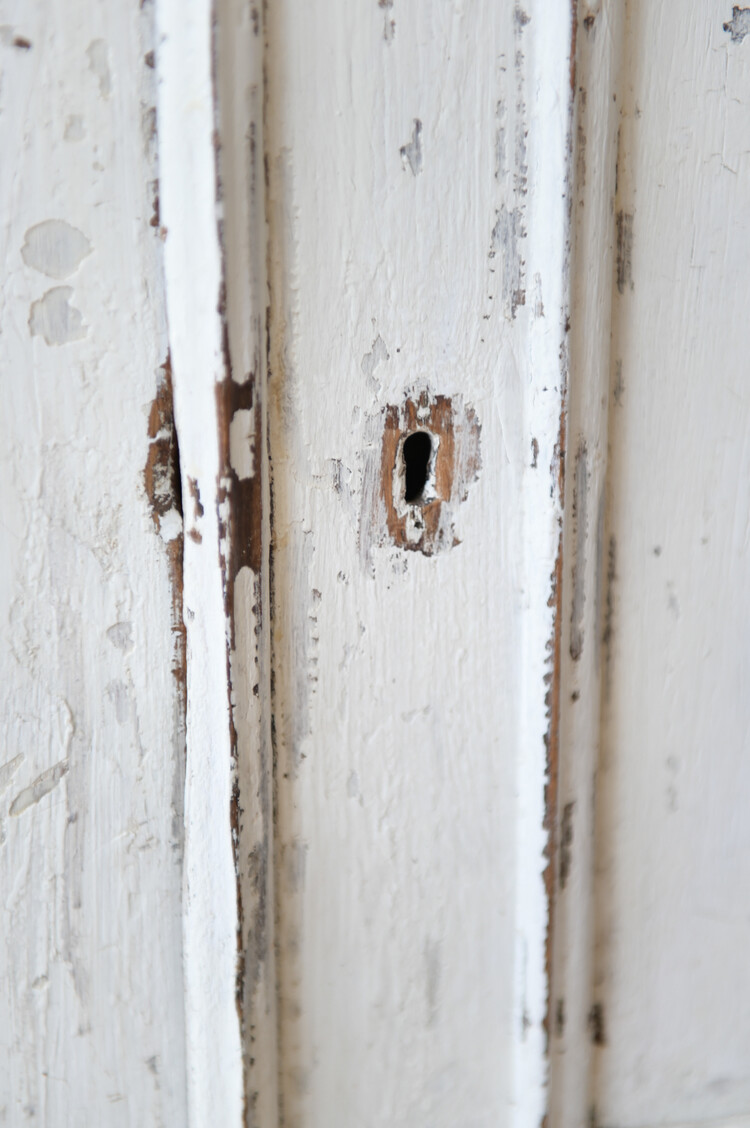 Antique Antique French Bibliotheque Cabinet
