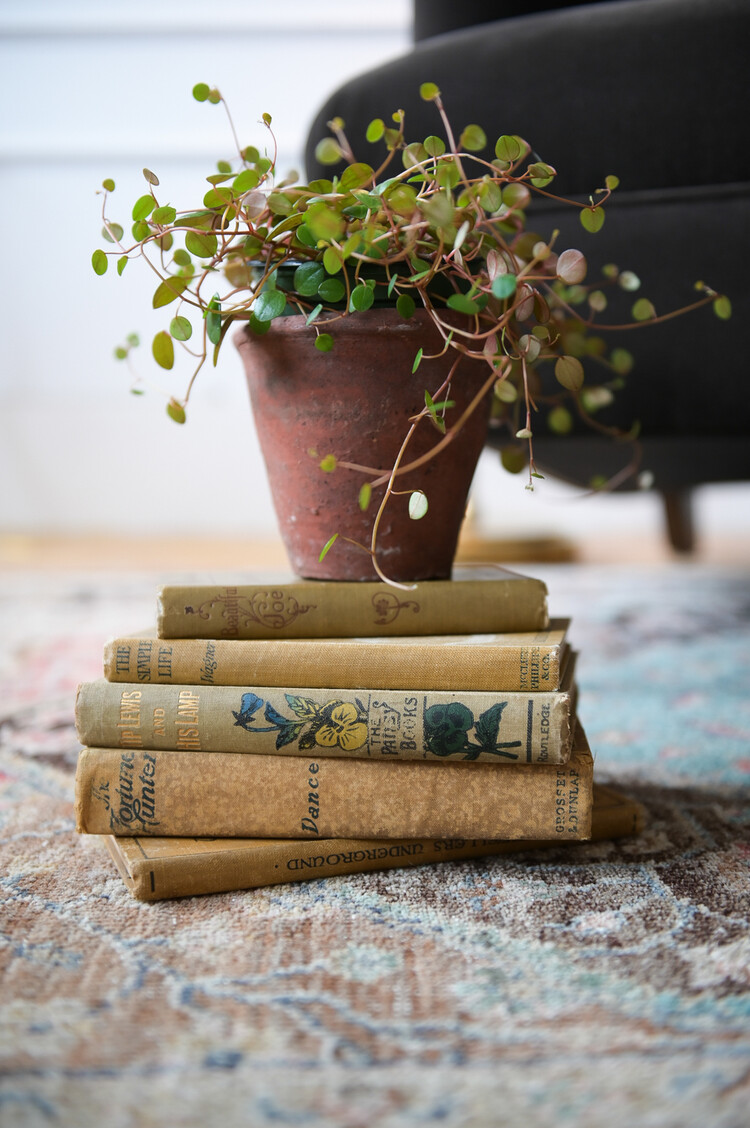 Someplace in Time Dynasty Hand-knotted Wool Rug