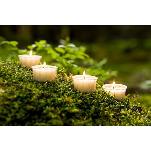 Natural Wax Sustainable Tealight. Pack of 12