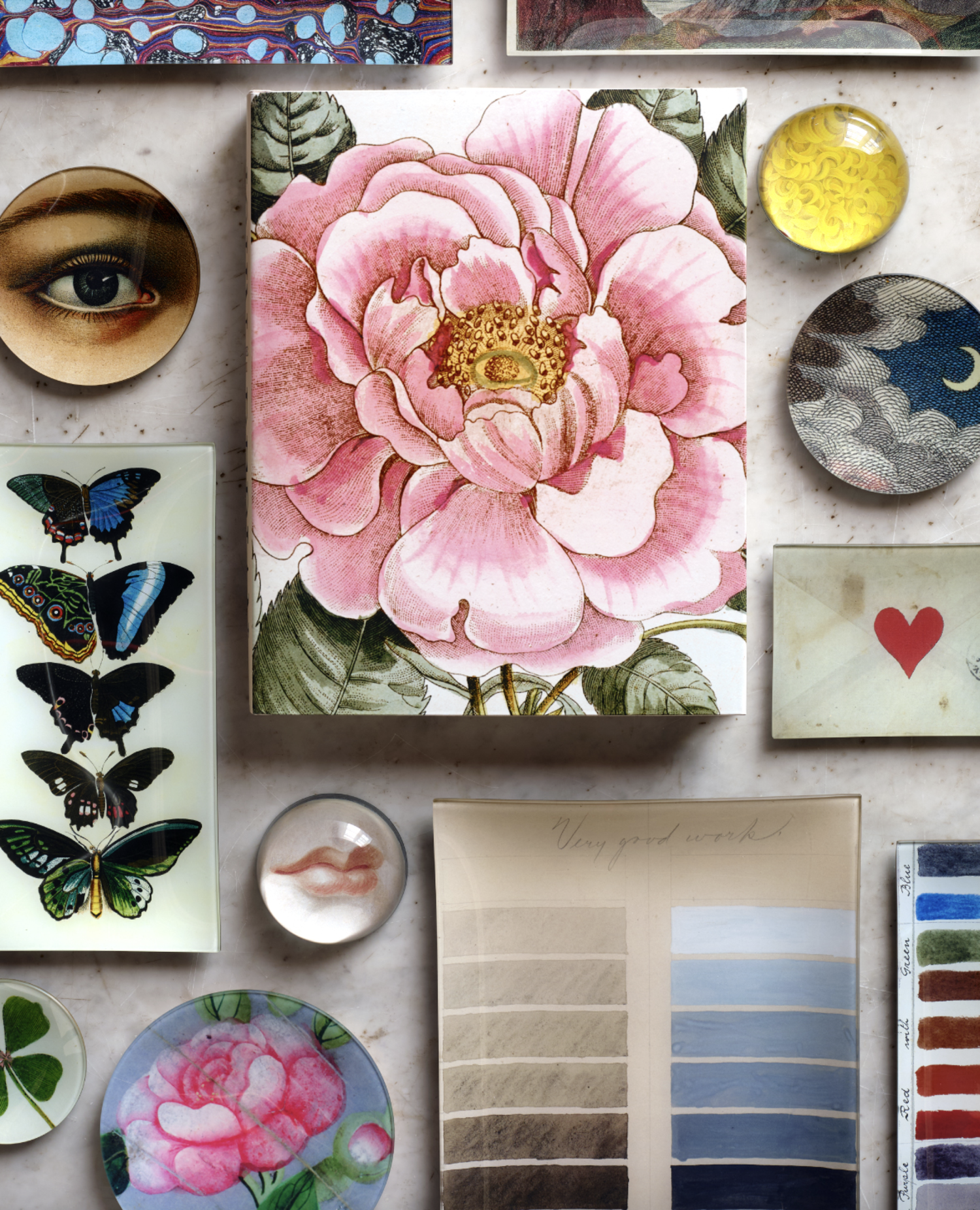 John Derian: The Picture Book Collection - Gild & Co.