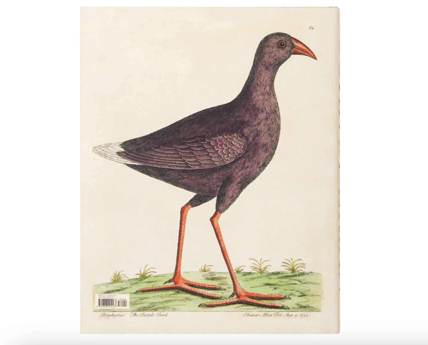 John Derian: The Picture Book Collection - Gild & Co.