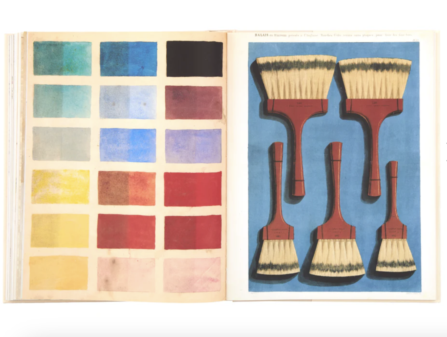 アート・デザイン・音楽 John Derian: The Picture Book Collection John Derian: The Picture Book Collection - Gild & Co.