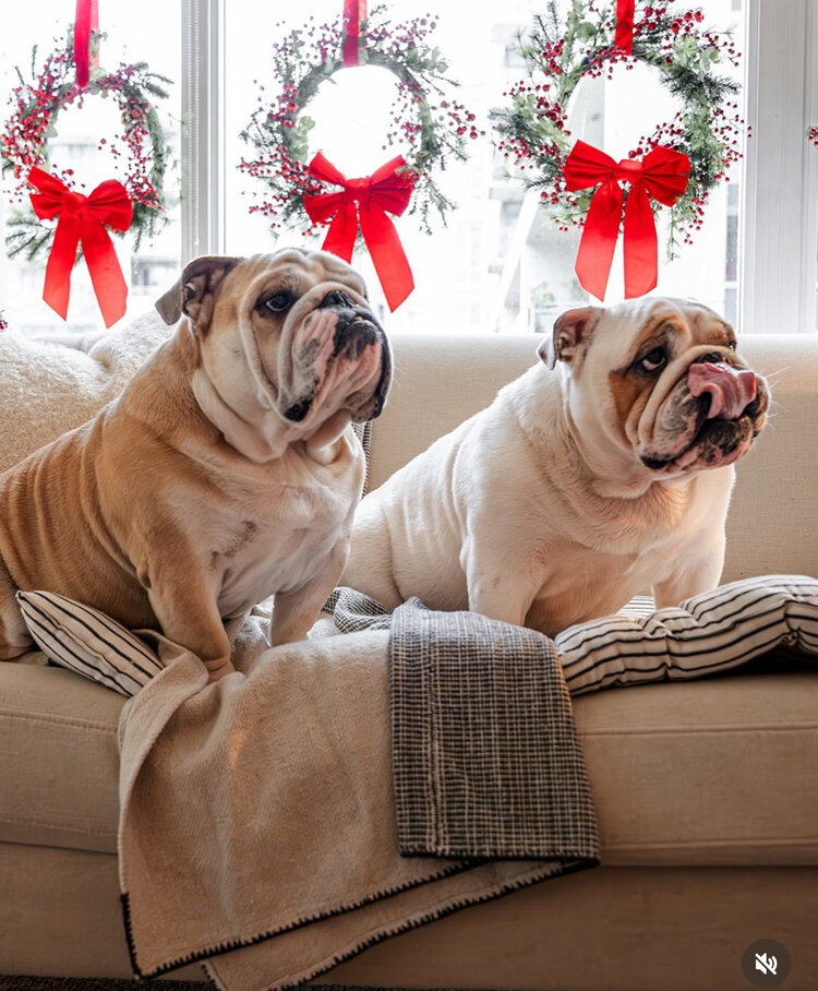 Tensira Overlay Mattress with Removable Cover in Black & White Stripe