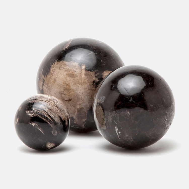 Bram Wooden Accent Sphere in Dark Petrified Wood