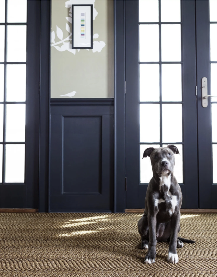 Dash&Albert Sisal Wave Natural Woven Rug