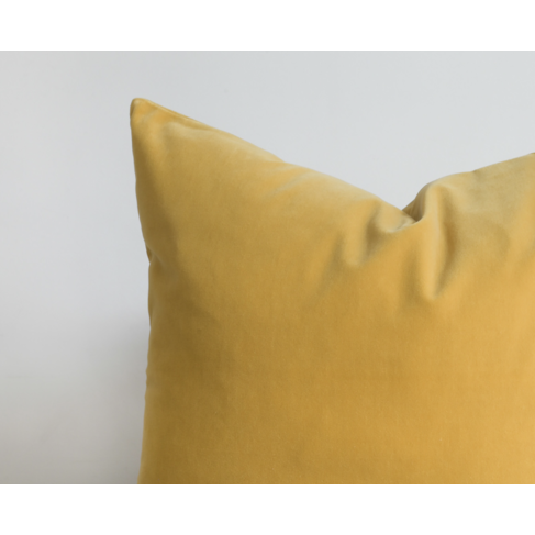 Emile Velvet Pillow in Illuminate 16x24"