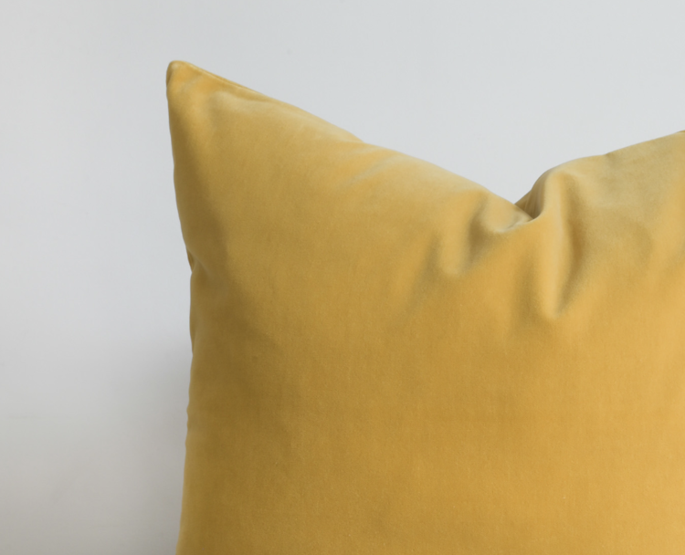 Emile Velvet Pillow  in Illuminate 16x24" lumbar
