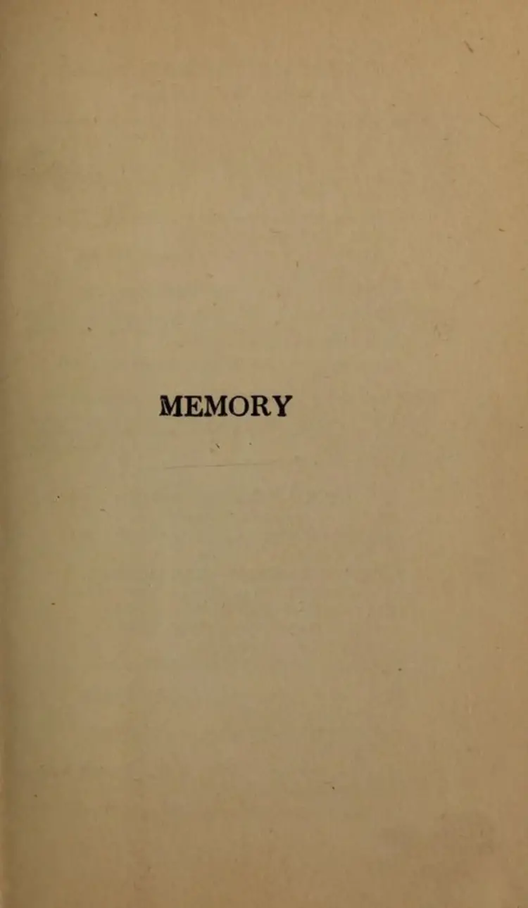 Stars Are Fire Scented Candles