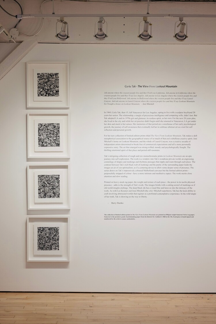 Carla Tak “The View From Lookout Mountain” by Carla Tak, 5/15 editions