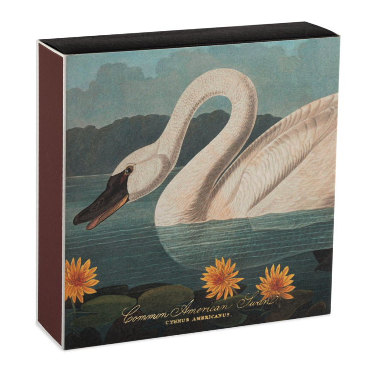 Gild & Co. Common American Swan Matches