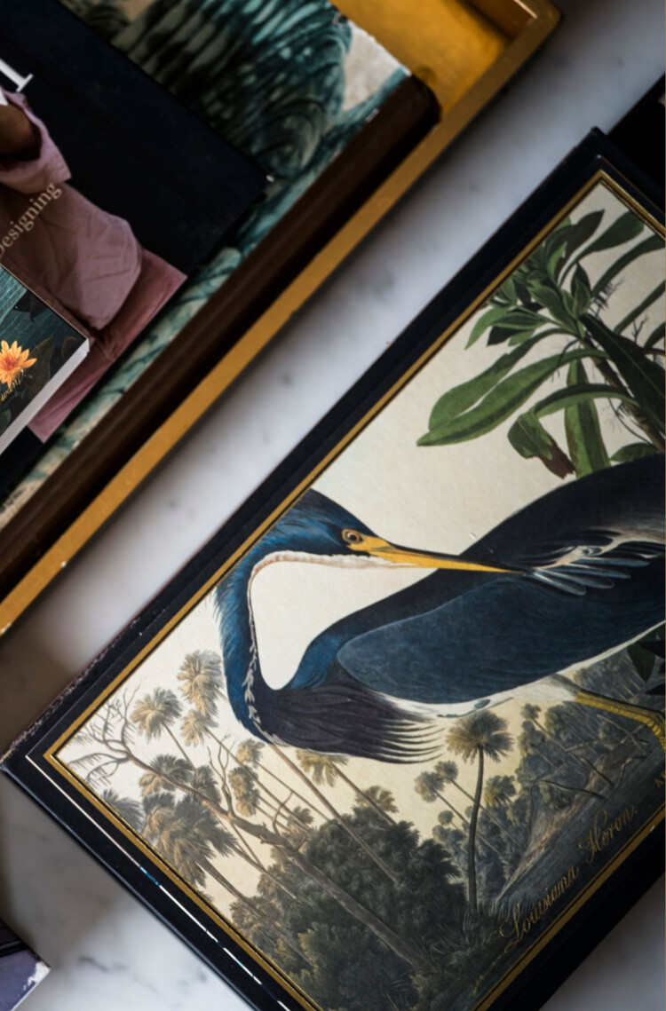 Louisiana Heron Giant Matches