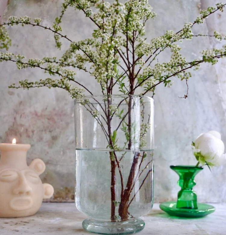 Pied Douche Transparent Vase