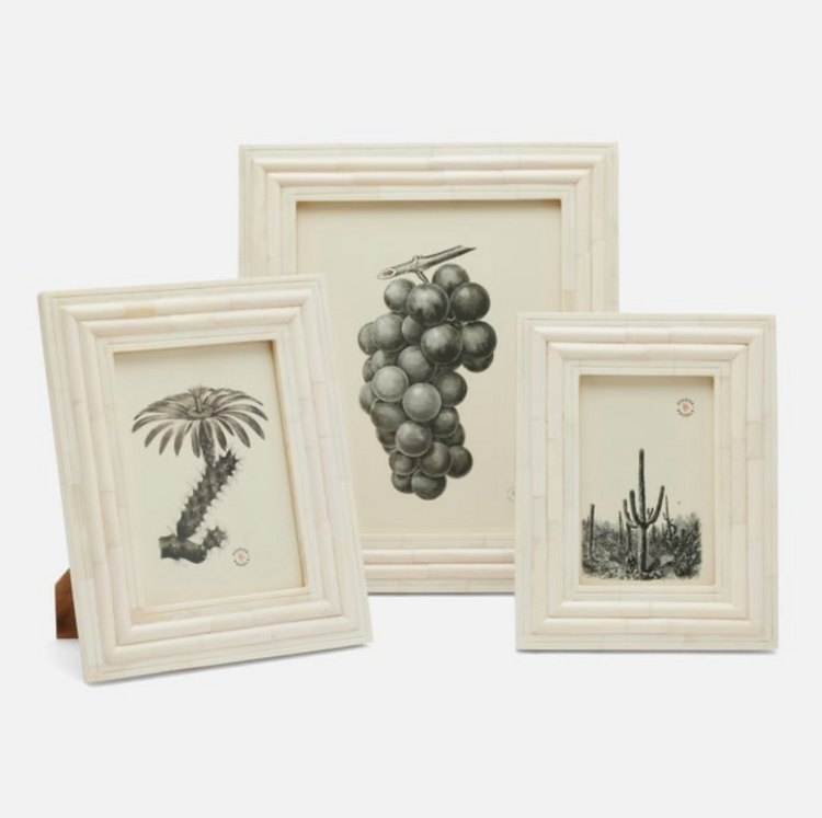 Novara Natural Bone Frame