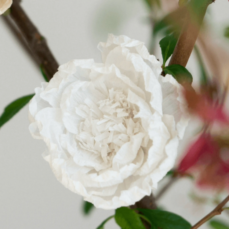 Gild & Co. Handmade Antique-Inspired White Crepe Paper Flowers