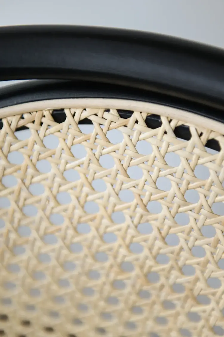 Gild & Co. Bentwood Round Arm Chair