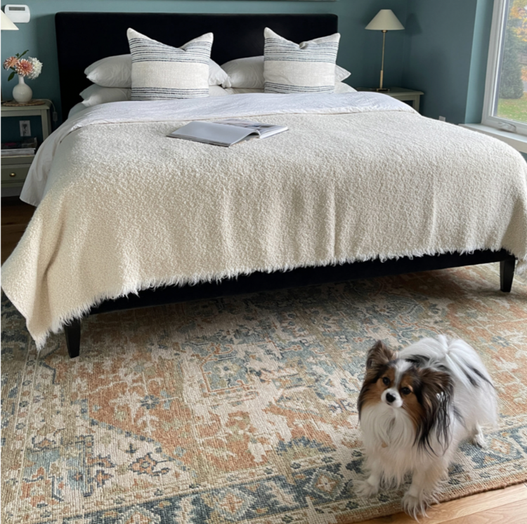 Upholstered Bed in Velvet King